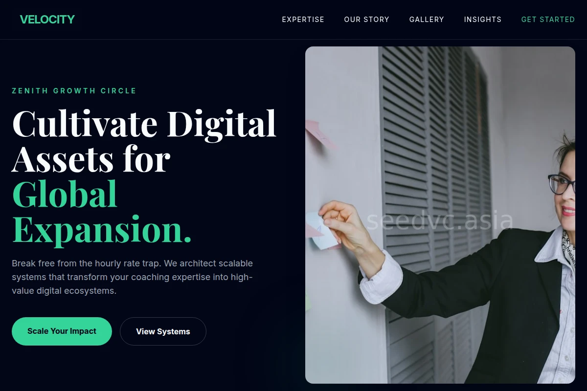 Velocity Business Coach